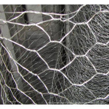 Chicken Wire Mesh/Poultry Wire/Galvanized Hexagonal Wire Mesh